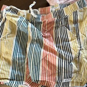 Banks Journal Men's Multicolor Striped Athletic Shorts